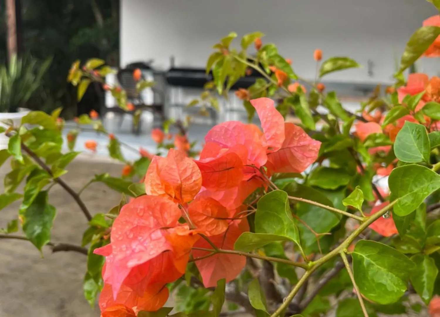 Baie Lazare  Kanasuk Self Catering Apartments 0*, Baie Lazare (Mahe)